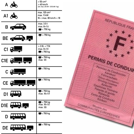 Les neuf catégories de permis de conduire | Auto Ecole Assur